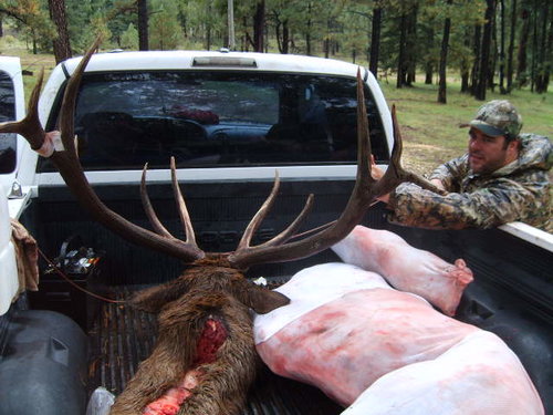 Chad's Elk Hunt 14.jpg