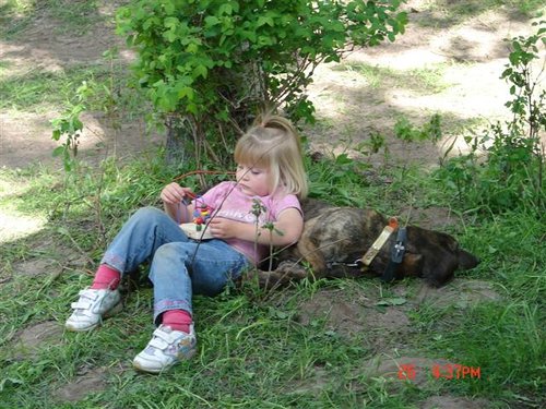 training pups 007.jpg