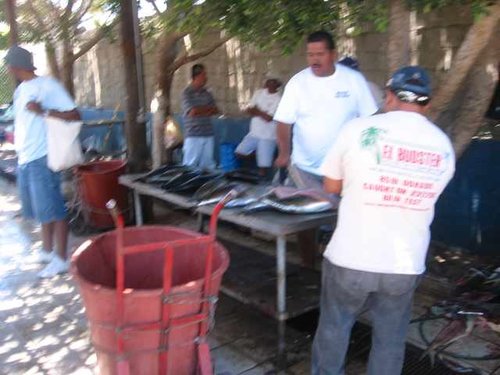 dress cabo pics 061-1.jpg