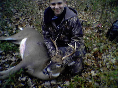 deer 07.jpg