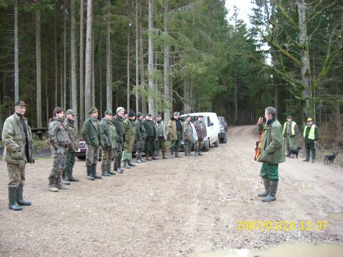 Red Stag Hunt Latvia 008.jpg