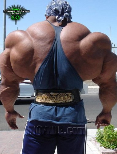 Me_from_behind.jpg