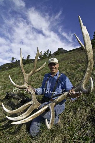 rod-elk-sheds-email.jpg