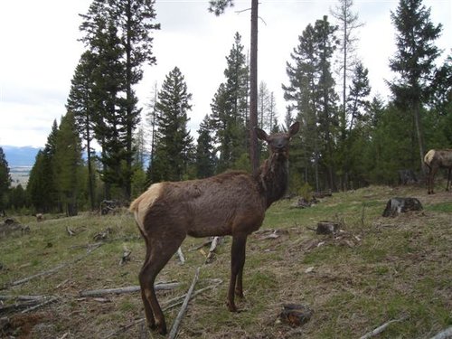 5-23-08 548 (Small).jpg