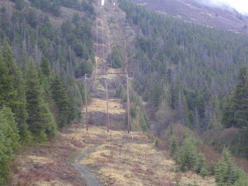 Bear hunt '08 001.jpg