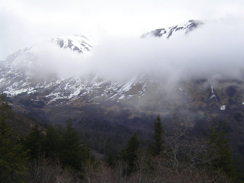 Bear hunt '08 013.jpg