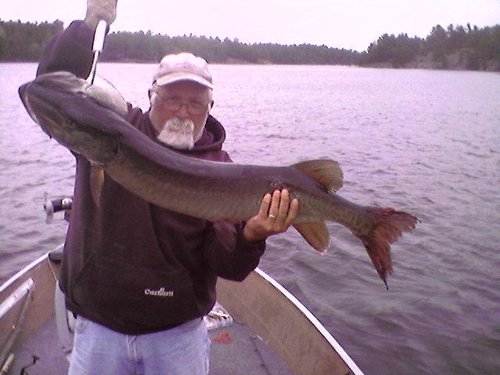 musky_5_30_08.jpg