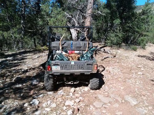 2014 Elk in Rhino.jpg