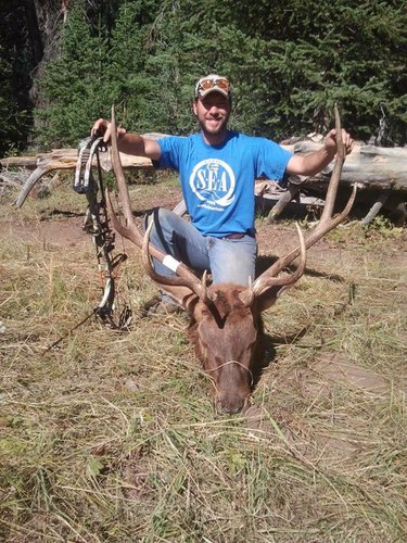 2013 Bow Bull.jpg
