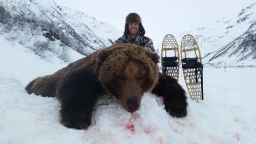 Bear 1.jpg