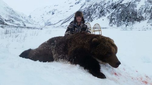 Bear 2.jpg