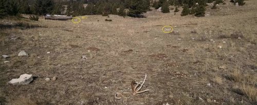 meadow.jpg meadow.jpg