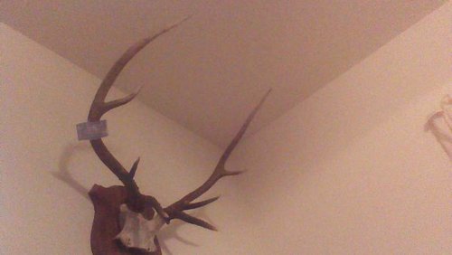 WIN_20150425_210312.jpg WIN_20150425_210312.jpg