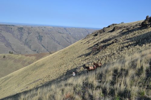 DSC_0265.jpg