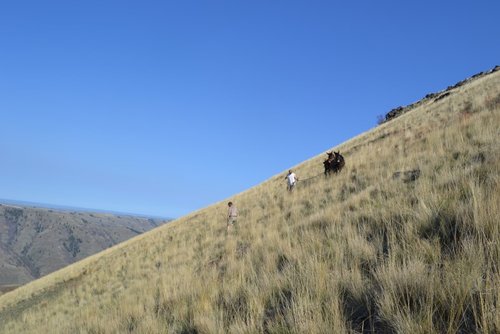 DSC_0268.jpg
