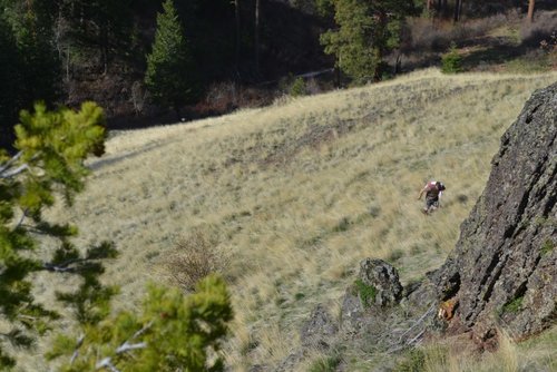 DSC_0294.jpg