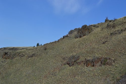 DSC_0336.jpg