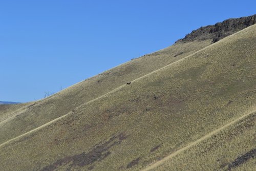 DSC_0341.jpg