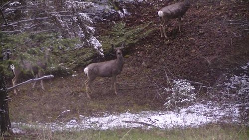 PIC_0140.jpg