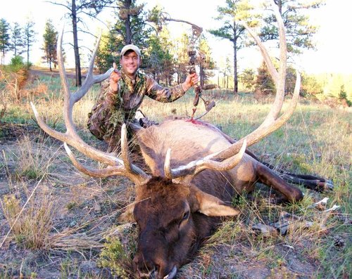 08elk2.jpg