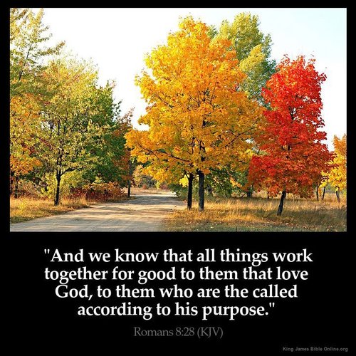 Purpose.jpg