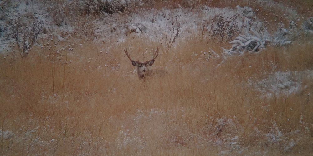 IMG_20231026_130638.jpg IMG_20231026_130638.jpg
