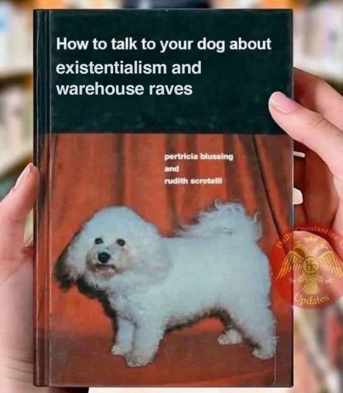 Unknown-3.jpeg