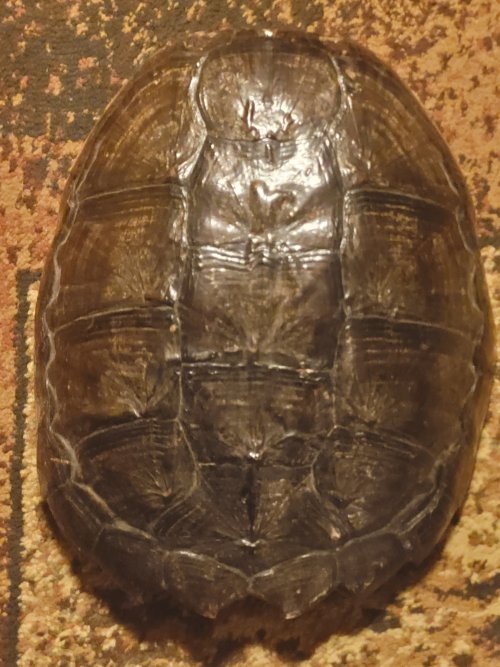 20240618_182831.jpg
