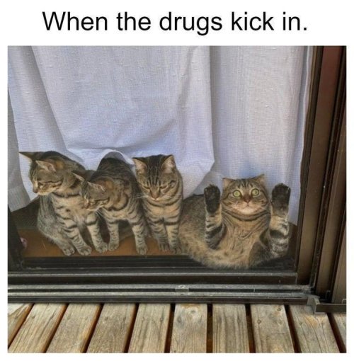 GQapnwvaIAICOEm.jpg