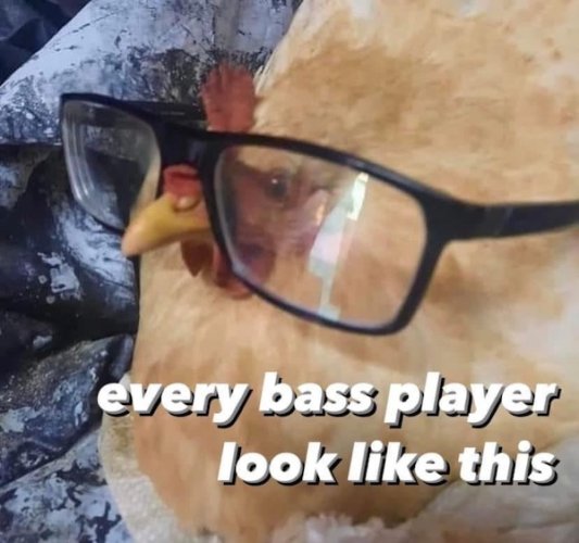 Too_TRUE-memes-06_20_24-33_9.jpg_attachment_cache_bust=4722222&quality=85&strip=info.jpg