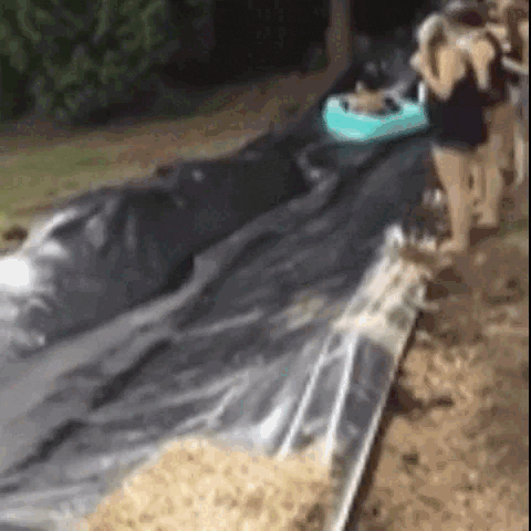 giphy-21.gif_attachment_cache_bust=4724573.gif