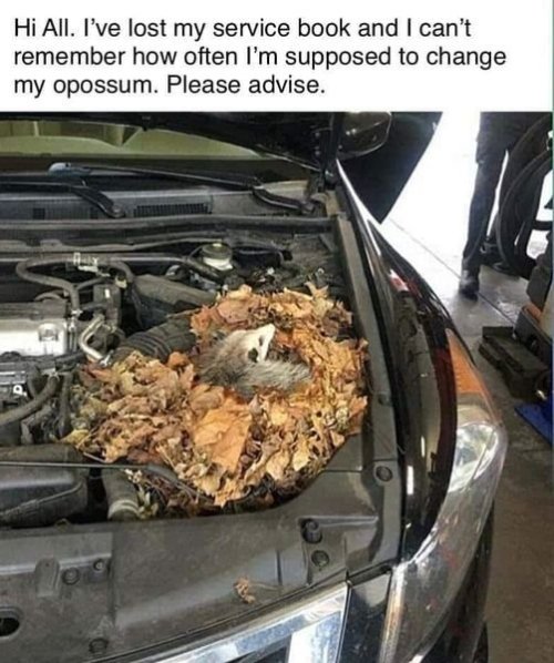 1718975749625.jpeg