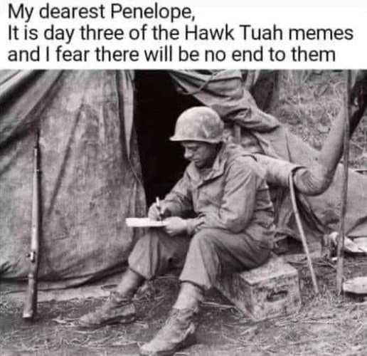1719057545605.png