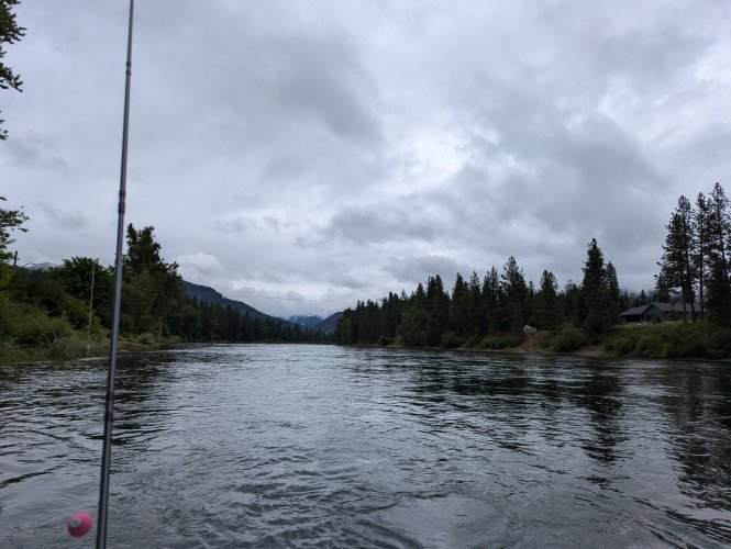 PXL_20240618_160721644.MP.jpg PXL_20240618_160721644.MP.jpg