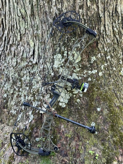 IMG_1918.jpeg IMG_1918.jpeg
