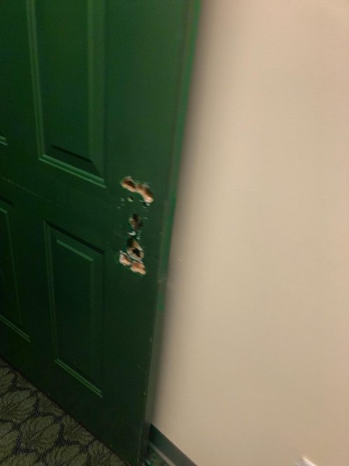 IMG_1002.jpg IMG_1002.jpg