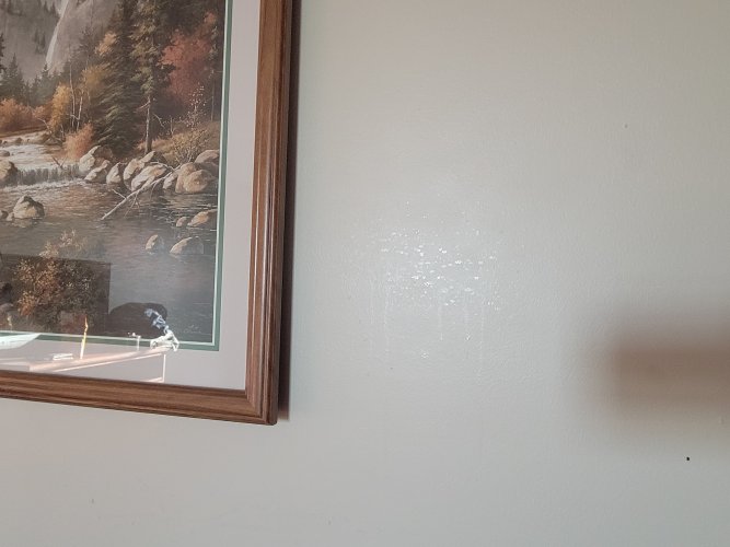 20240615_062258.jpg 20240615_062258.jpg