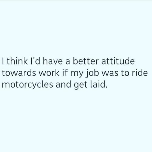 FB_IMG_1719509308210.jpg
