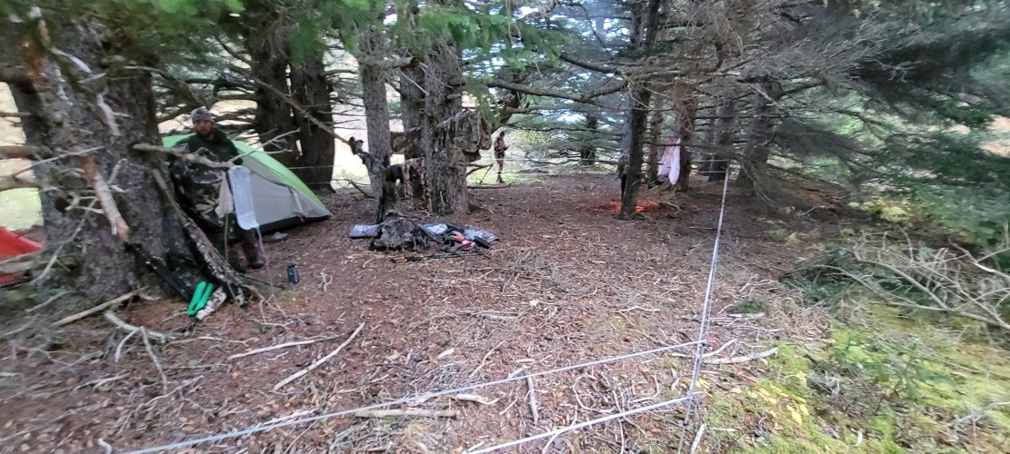 20231007_084741.jpg 20231007_084741.jpg