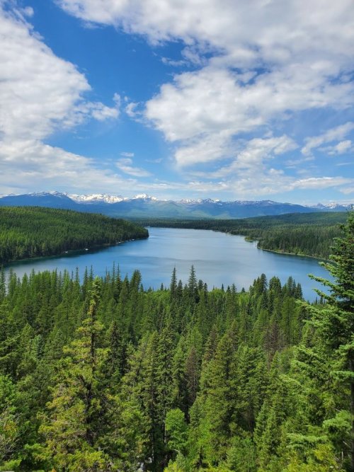Holland Lake, Mission Mountains background.jpg