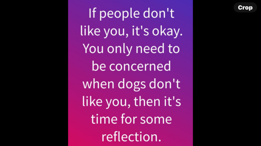 f01e9a4acac0d735.png