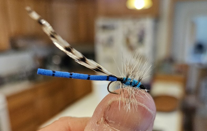 20240612_190840.jpg