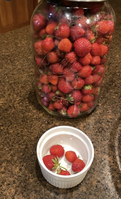 IMG_0723.jpeg