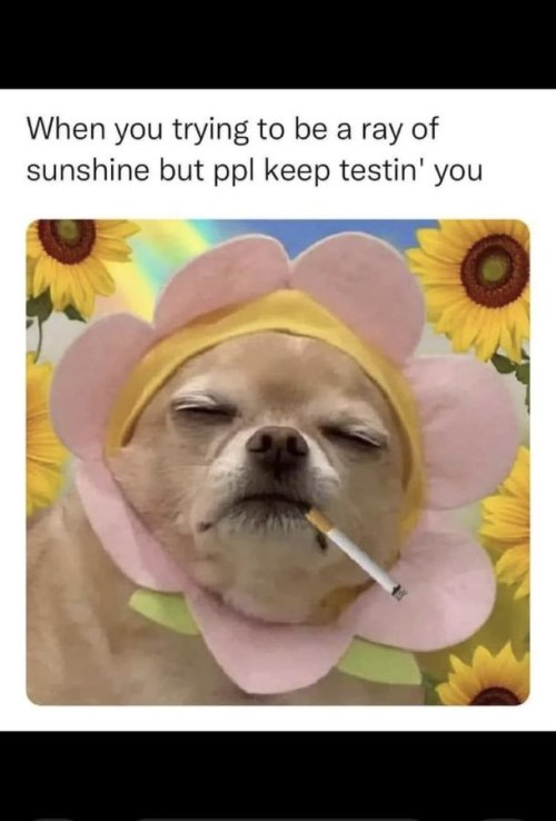 GRfYtxsXcAAaIG6.jpg