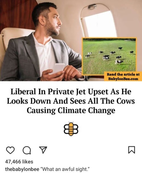 Screenshot_20240702_130845_Instagram.jpg