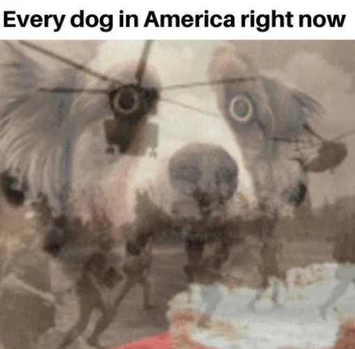 1720130889189.png