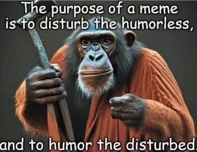 GRrfRCvWMAApIBv.jpg