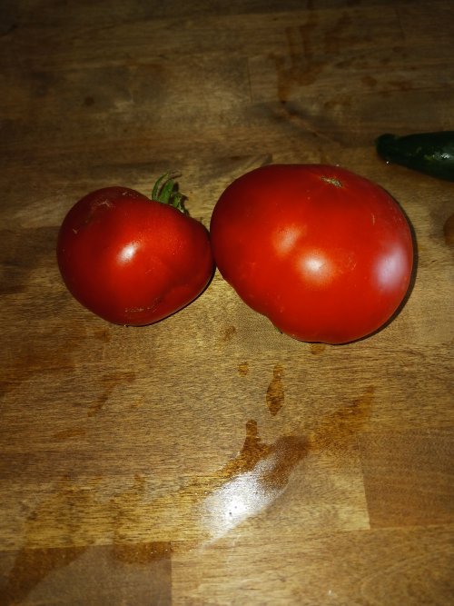 20240705_151225.jpg