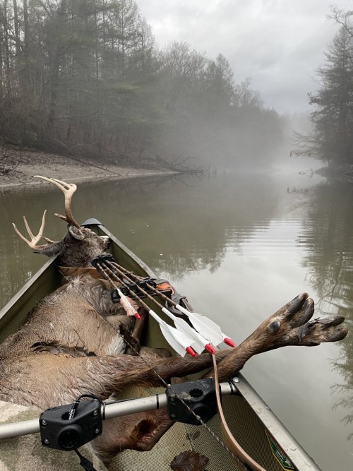 pound river buck 2.jpg pound river buck 2.jpg