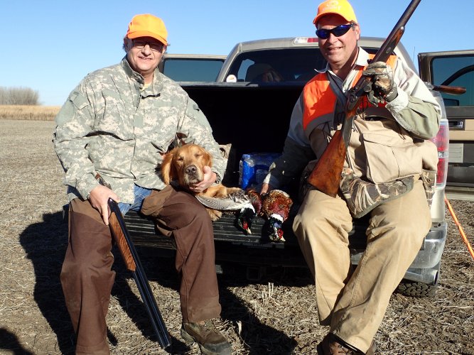Gus on tailgate 2 birds Don and Rick 2016.jpg Gus on tailgate 2 birds Don and Rick 2016.jpg